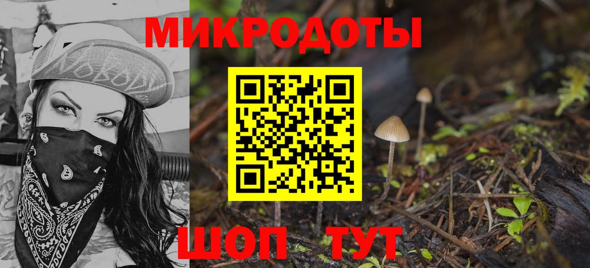 Галлюциногенные грибы Cubensis  Псилоцибиновые грибы прущие грибы  Вход с VPN  Сарапул 